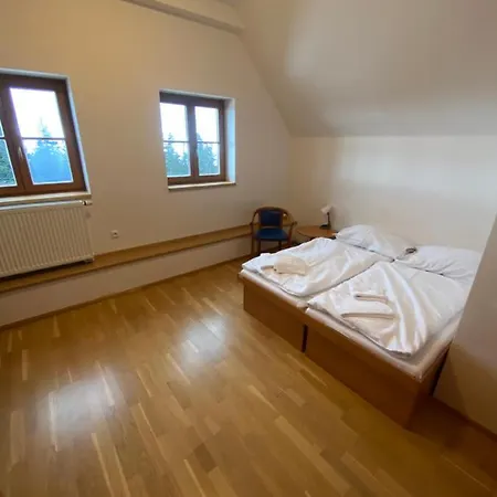 Sport * جانسك لازني